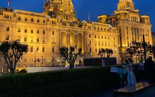 上海龍鳳花壇：2025年城市綠意的藝術復興